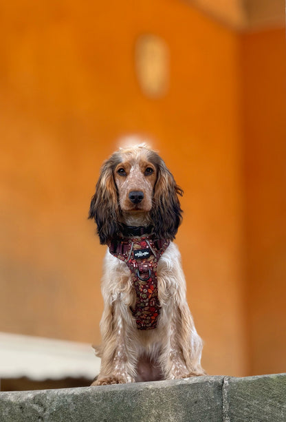 Hike & Go™ Harness - Foragers Forest