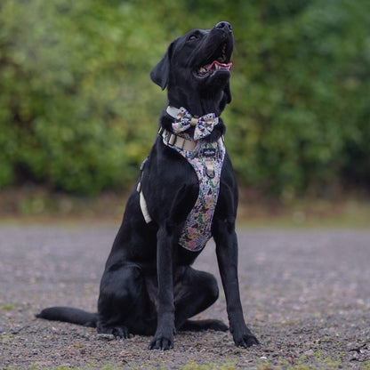 Hike & Go Lite™ Harness - Bumbles & Butterflies