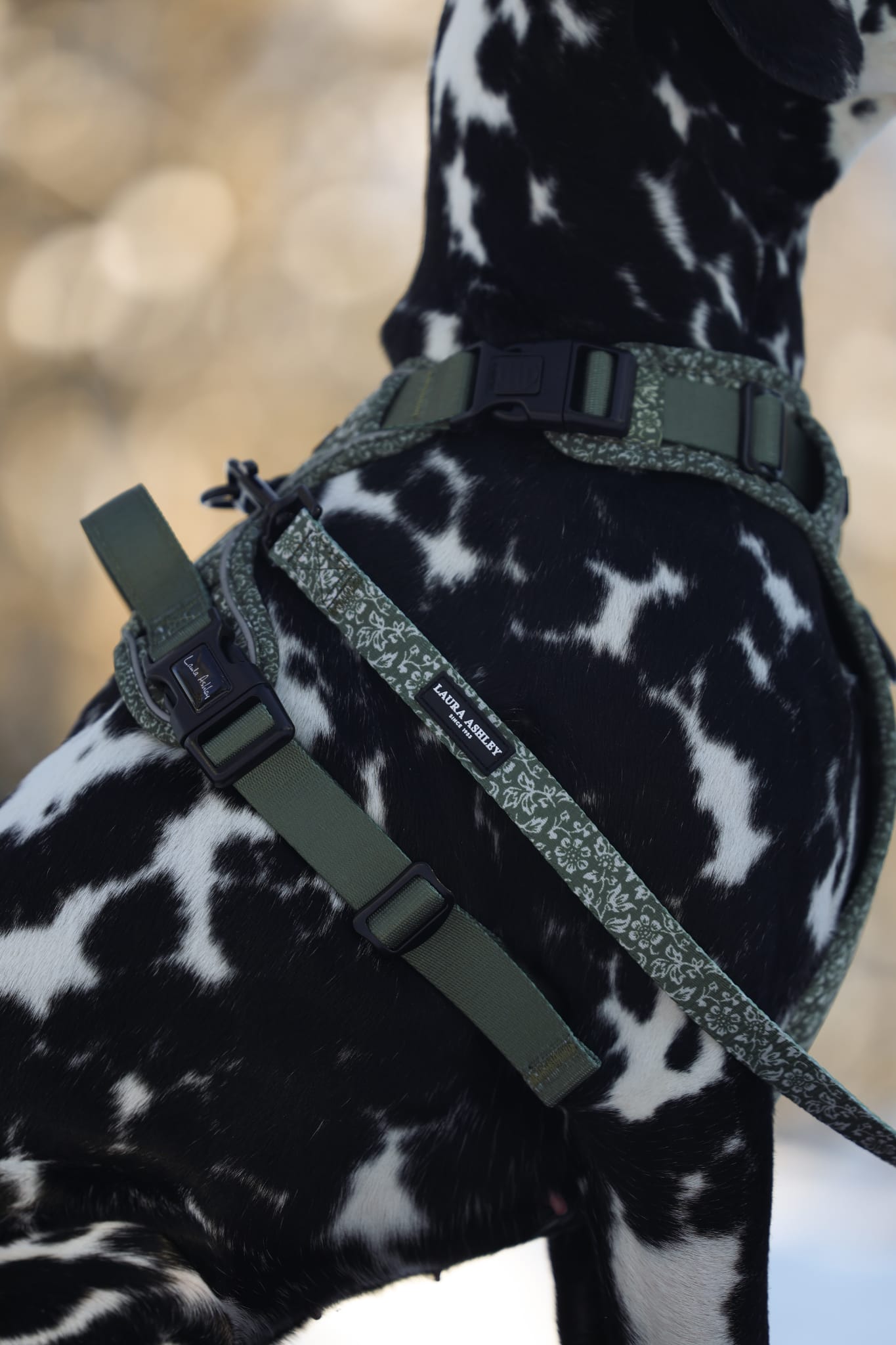 Laura Ashley Fabric Dog Lead - Sweet Alyssum