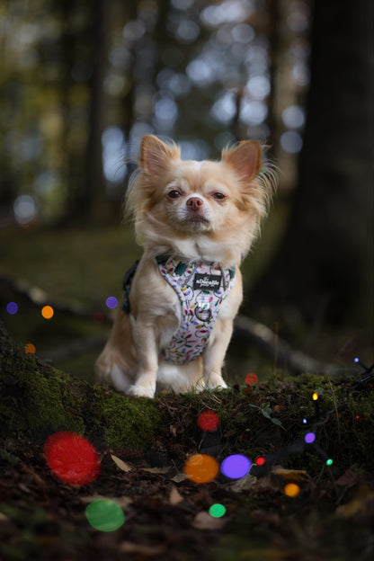 Hike & Go Lite™ Harness - Festive Lights