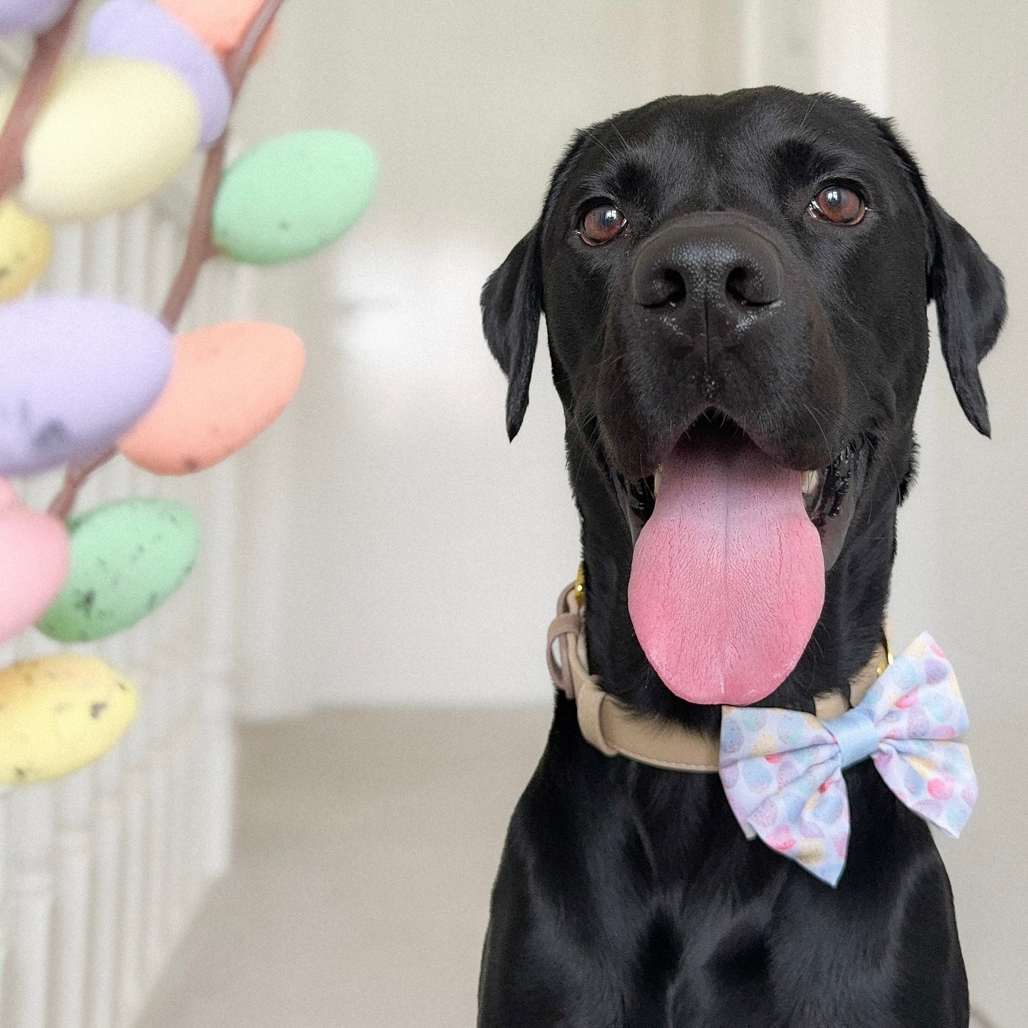 Sailor Bow Tie - Speckled Eggs