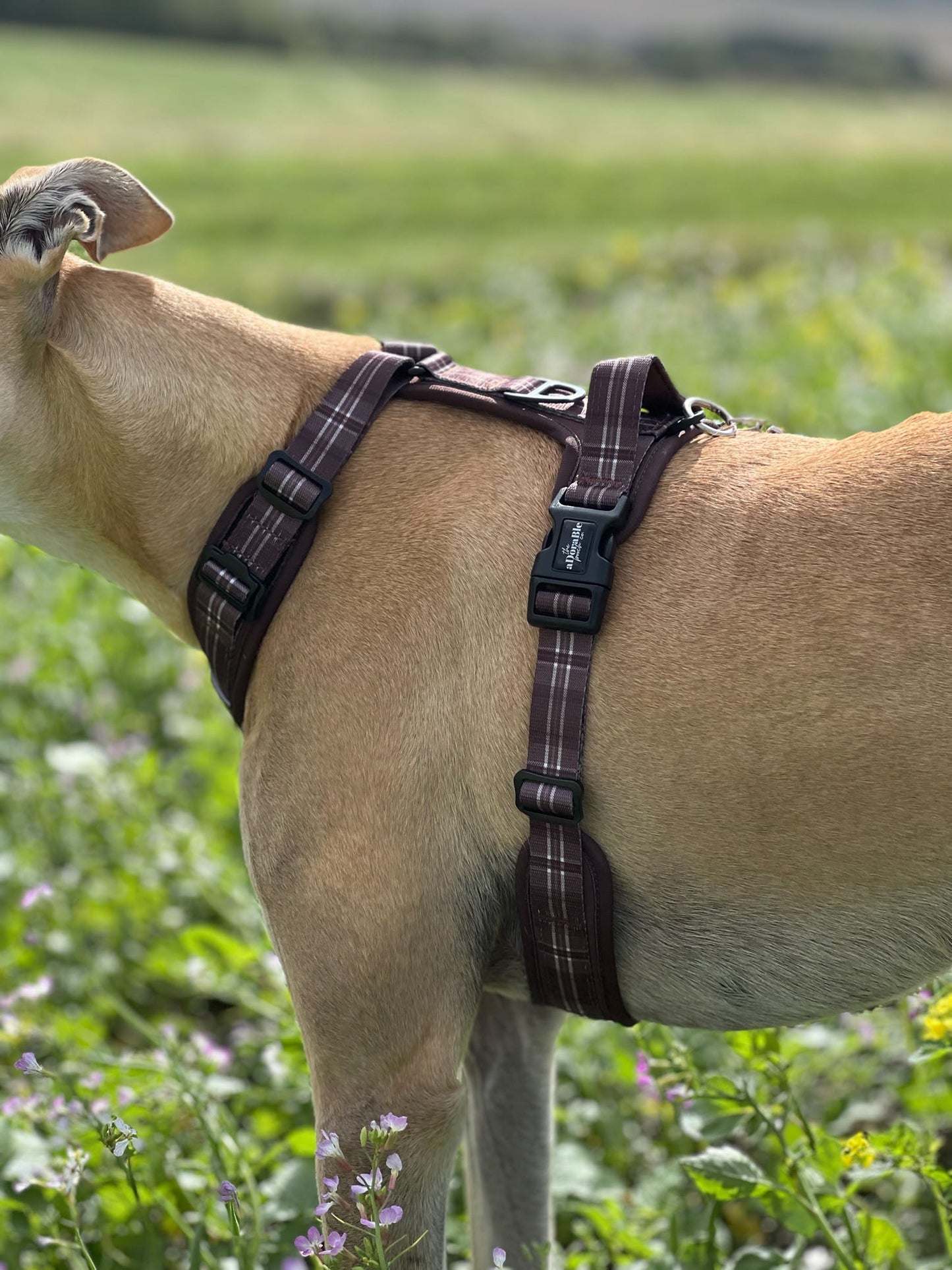Streamline Pro™ Dog Harness - Heritage Collection - Truffle Brown