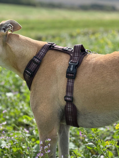 Streamline Pro™ Dog Harness - Heritage Collection - Truffle Brown