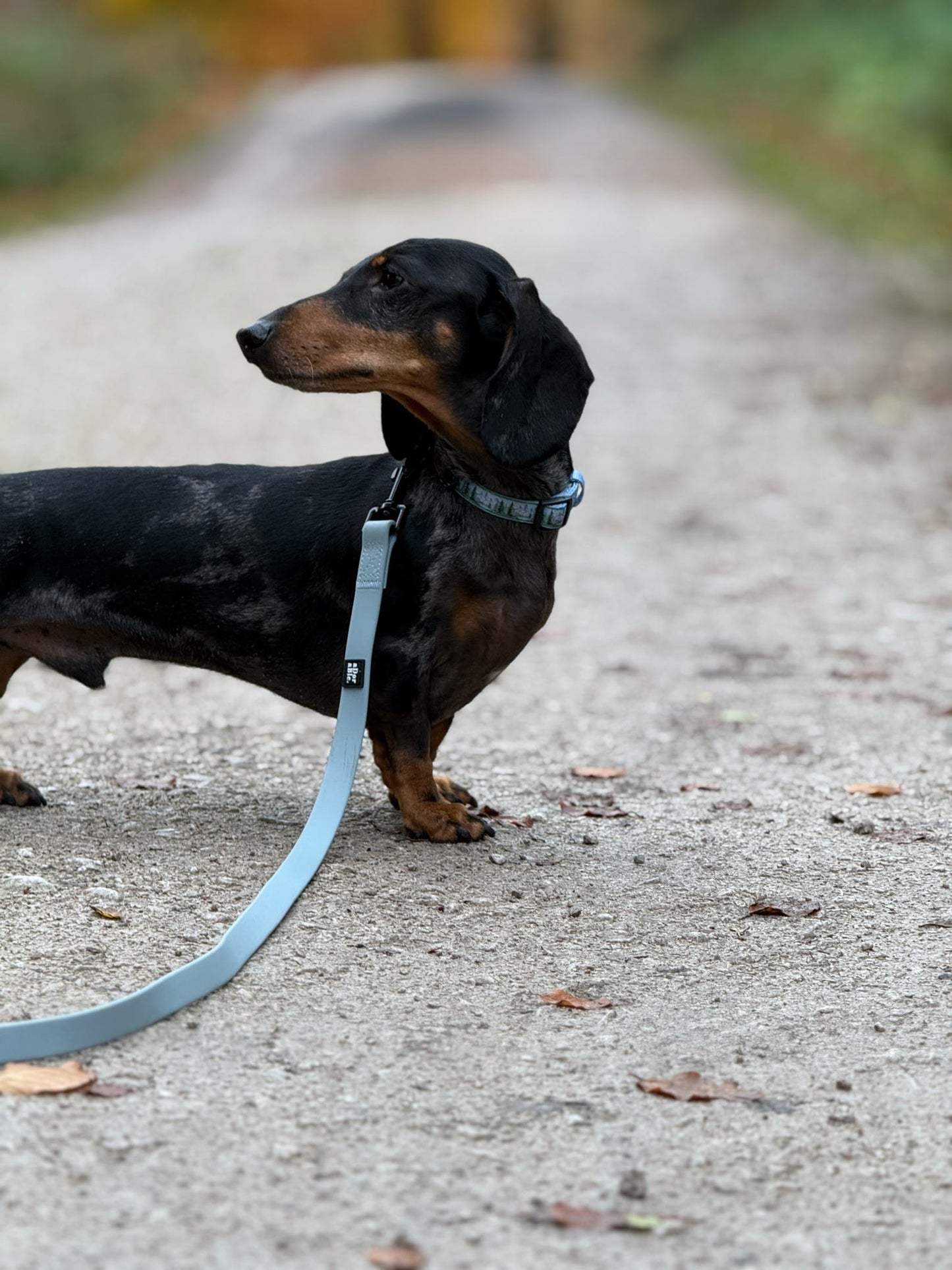 HydroFlex™ Waterproof Dog Lead - Sky Blue