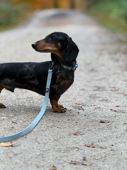 HydroFlex™ Waterproof Dog Lead - Sky Blue