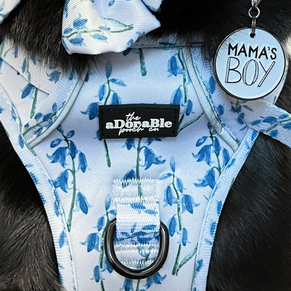 Dog Charm - Mama's Boy - Ice Blue