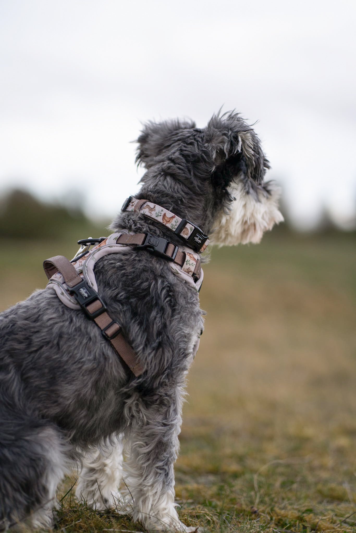 Hike & Go Lite™ Harness - Cotswold Cottage