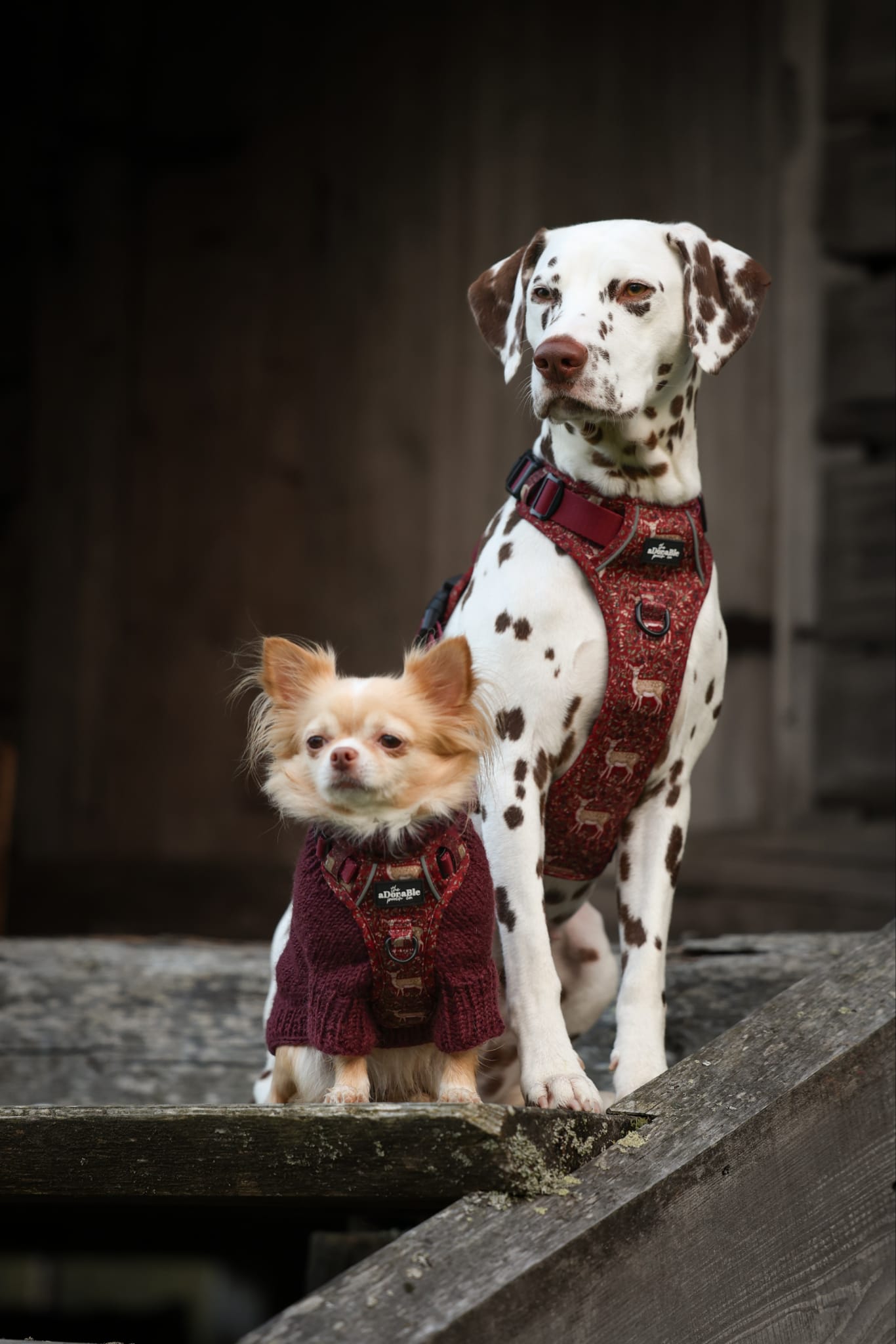 Hike & Go Lite™ Harness - Winter Fawn