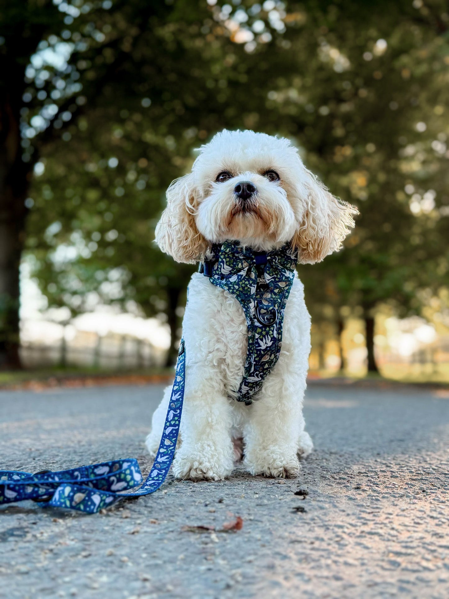 Hike & Go Lite™ Harness - Twelve Days