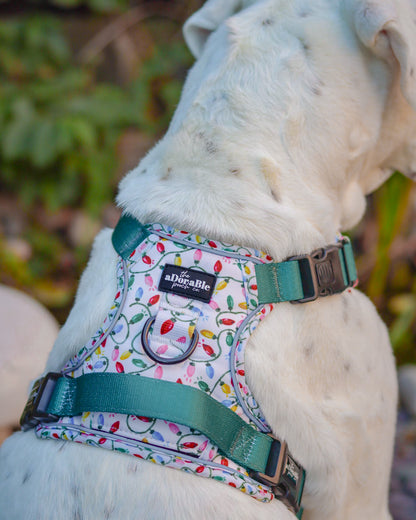 Hike & Go Lite™ Harness - Festive Lights
