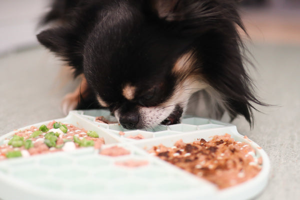 The aDoraBle Pooch Co Enrichment Lick Mat - Frosted Mint