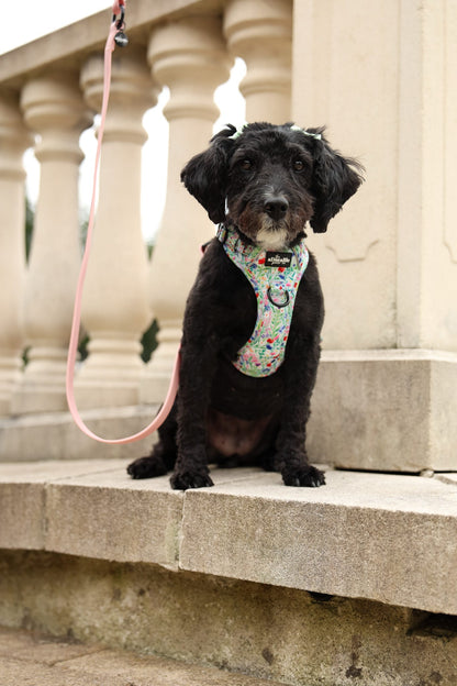 Hike & Go Lite™ Harness - Wildflower Meadow