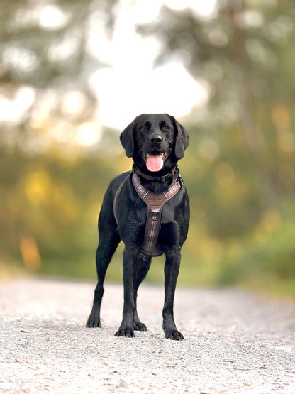 Streamline Pro™ Dog Harness - Heritage Collection - Truffle Brown