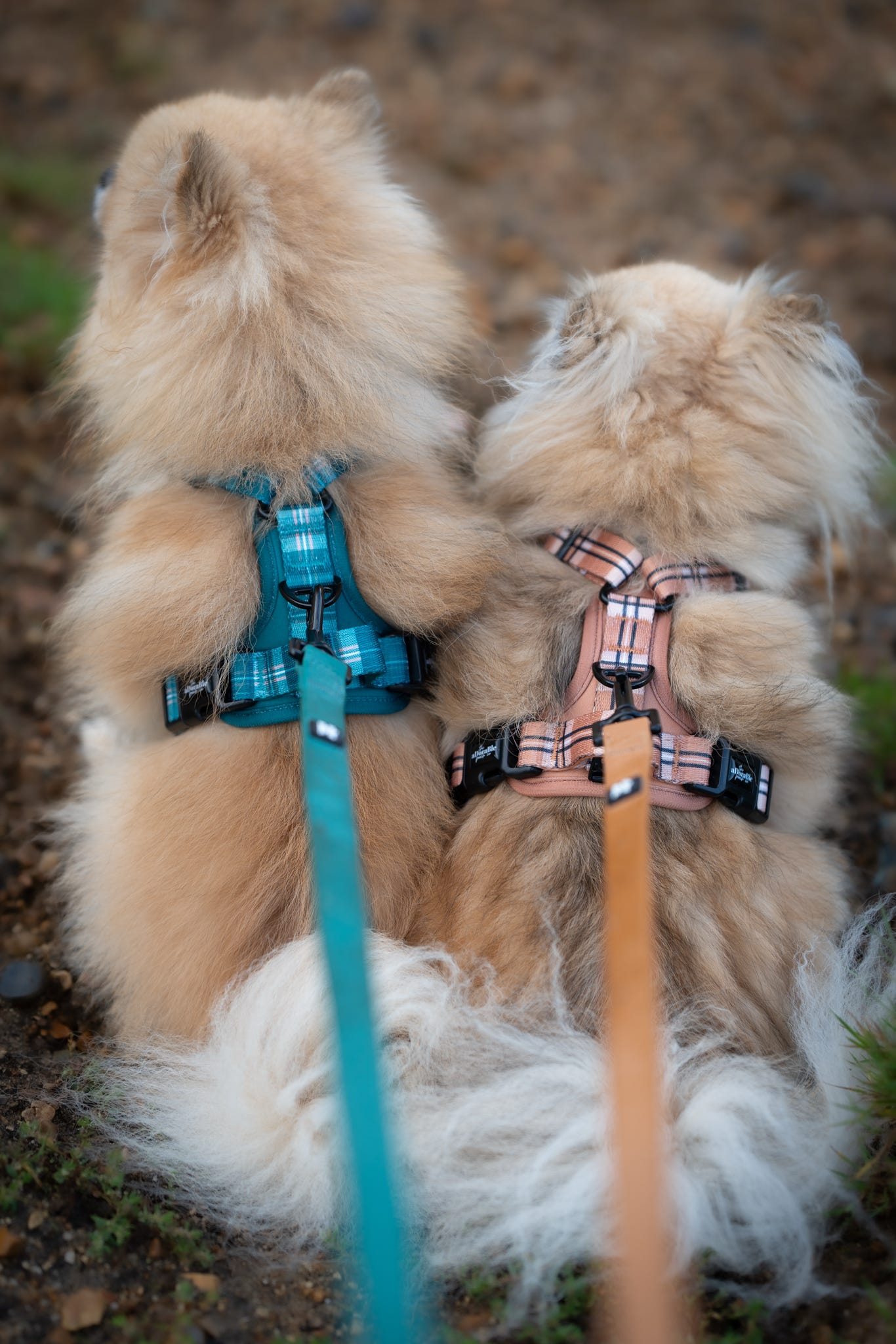 HydroFlex™ Waterproof Dog Lead - Pheasant Green