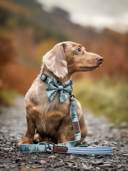 Lead - Daydream Heights