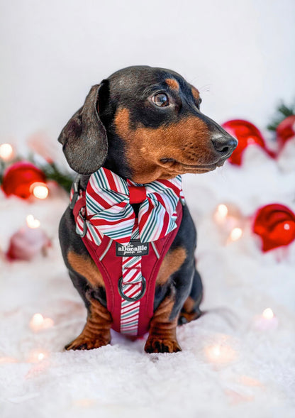 Sailor Bow Tie - Candy Cane Swirl