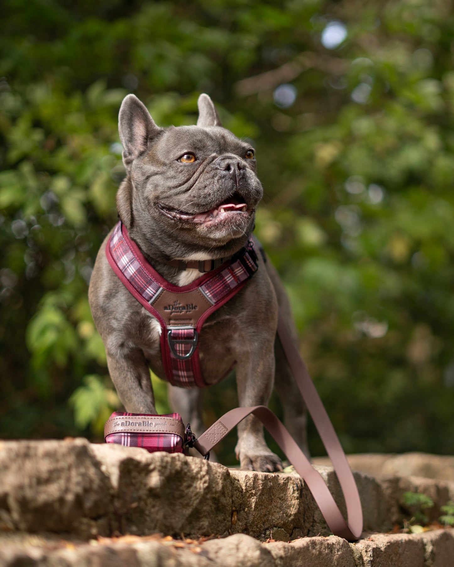 Streamline Pro™ Dog Harness - Heritage Collection - Merlot Manor