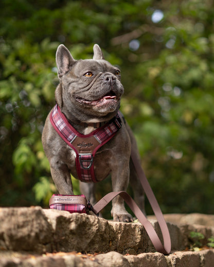 Streamline Pro™ Dog Harness - Heritage Collection - Merlot Manor
