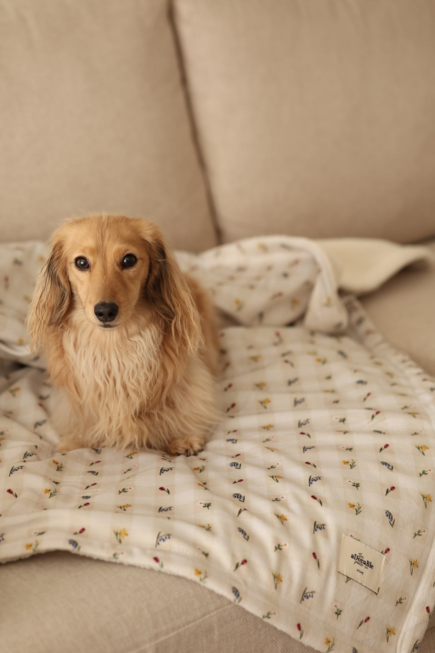 Dog & Puppy Bed Blanket - Spring Garden