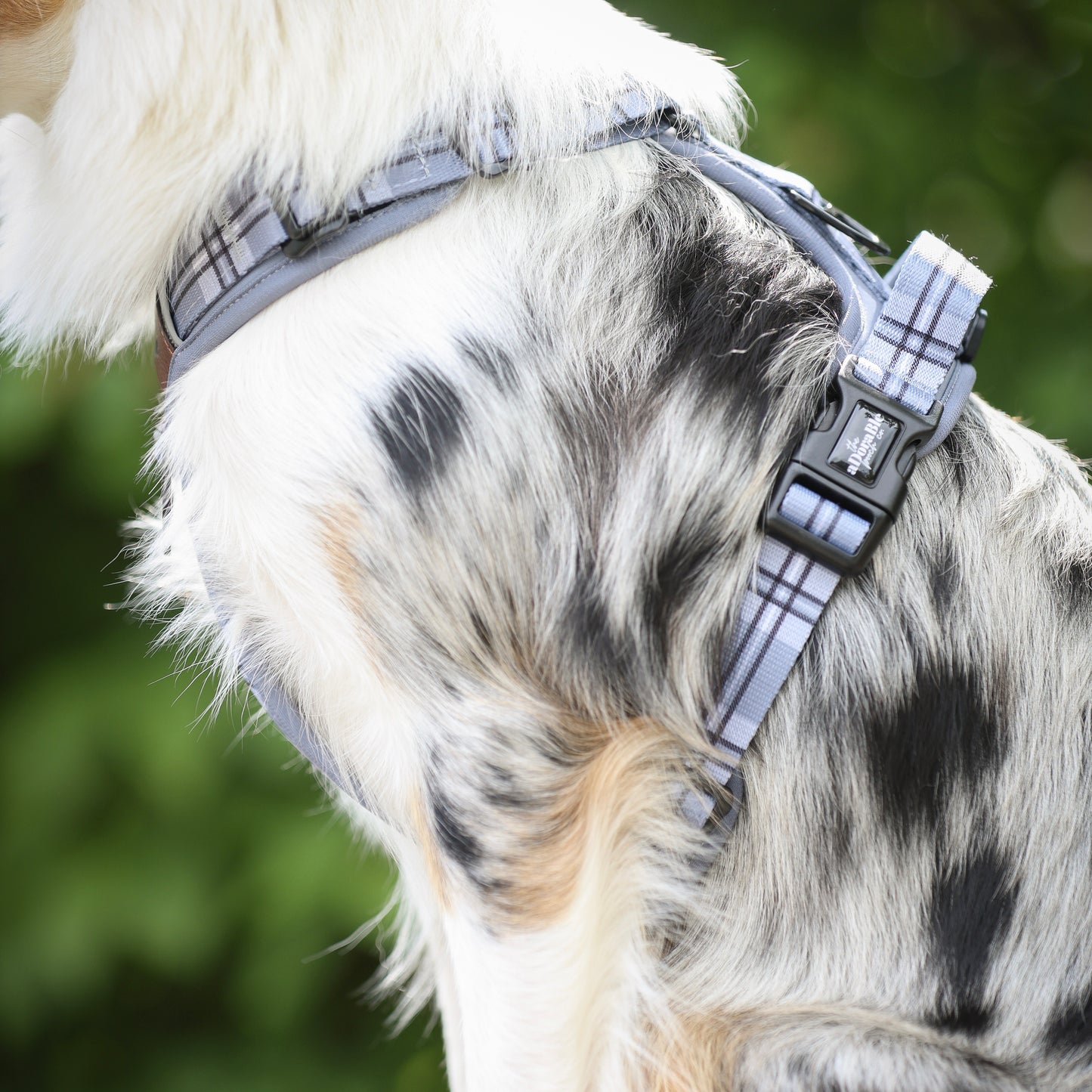 Streamline Pro™ Dog Harness - Heritage Collection - Gunsmoke Grey