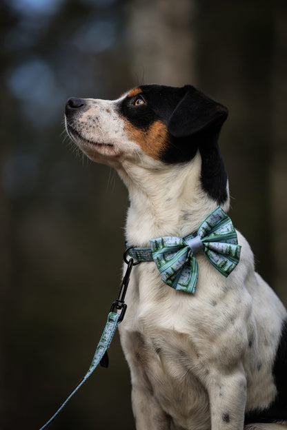 Sailor Bow Tie - Daydream Heights