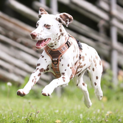 Streamline Pro™ Dog Harness - Heritage Collection - Butterscotch Biscuit