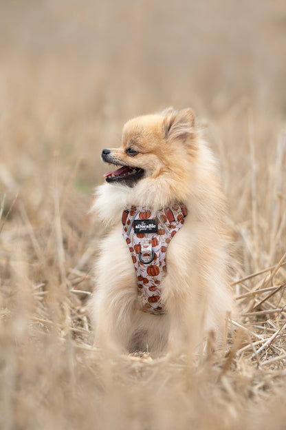 Hike & Go™ Harness - Pumpkin Farm