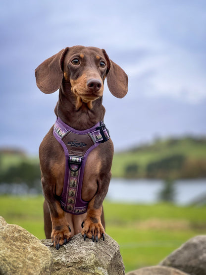 Streamline Pro™ Dog Harness - Moonlit Pines