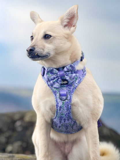 Hike & Go Lite™ Harness - Wisteria Waltz