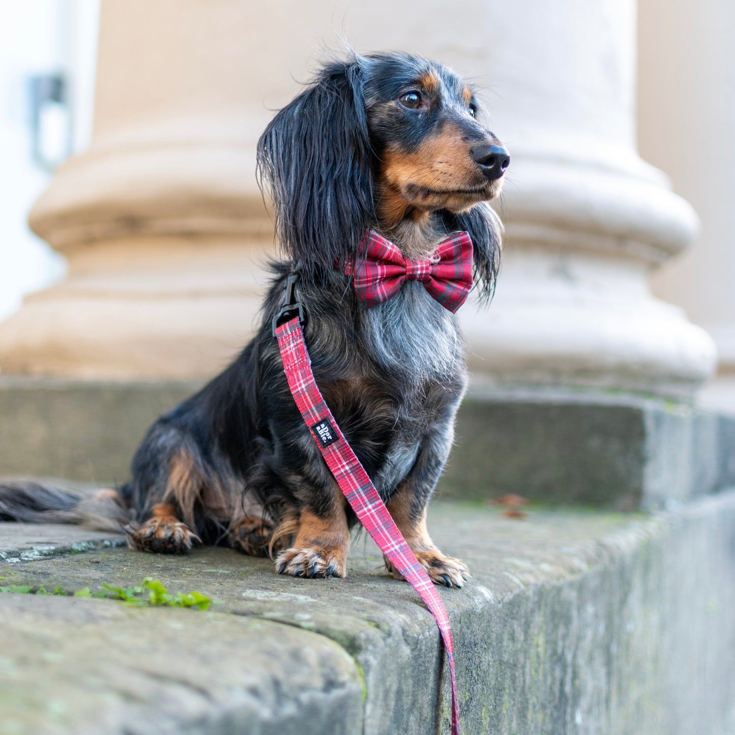 Bow Tie - LUXE Berry Red Plaid