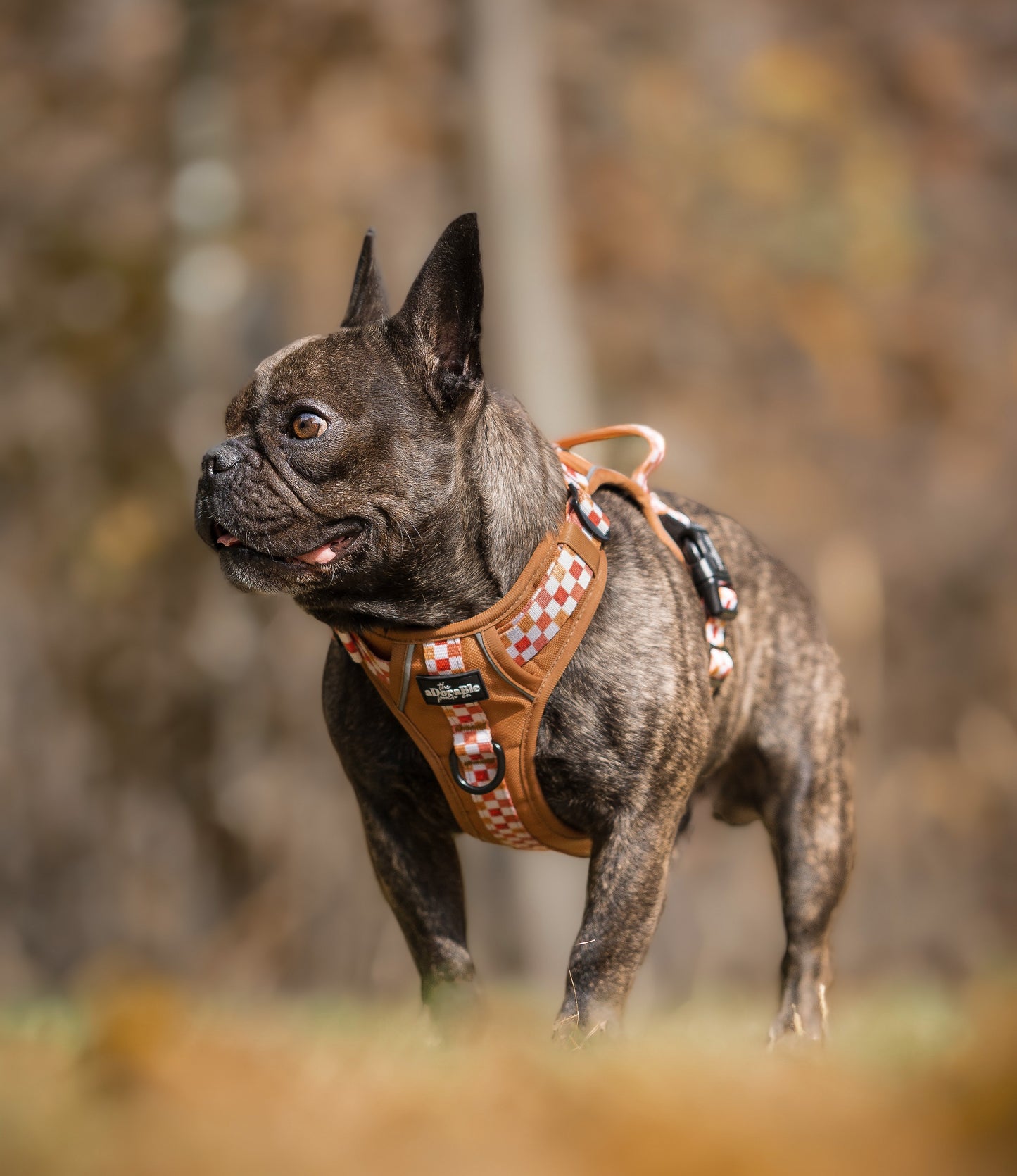 Hike & Go™ Harness - Gingerbread Waffle