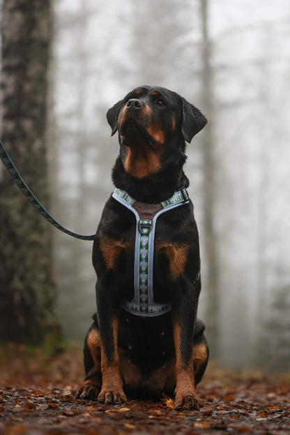 Streamline Pro™ Dog Harness - Daydream Heights