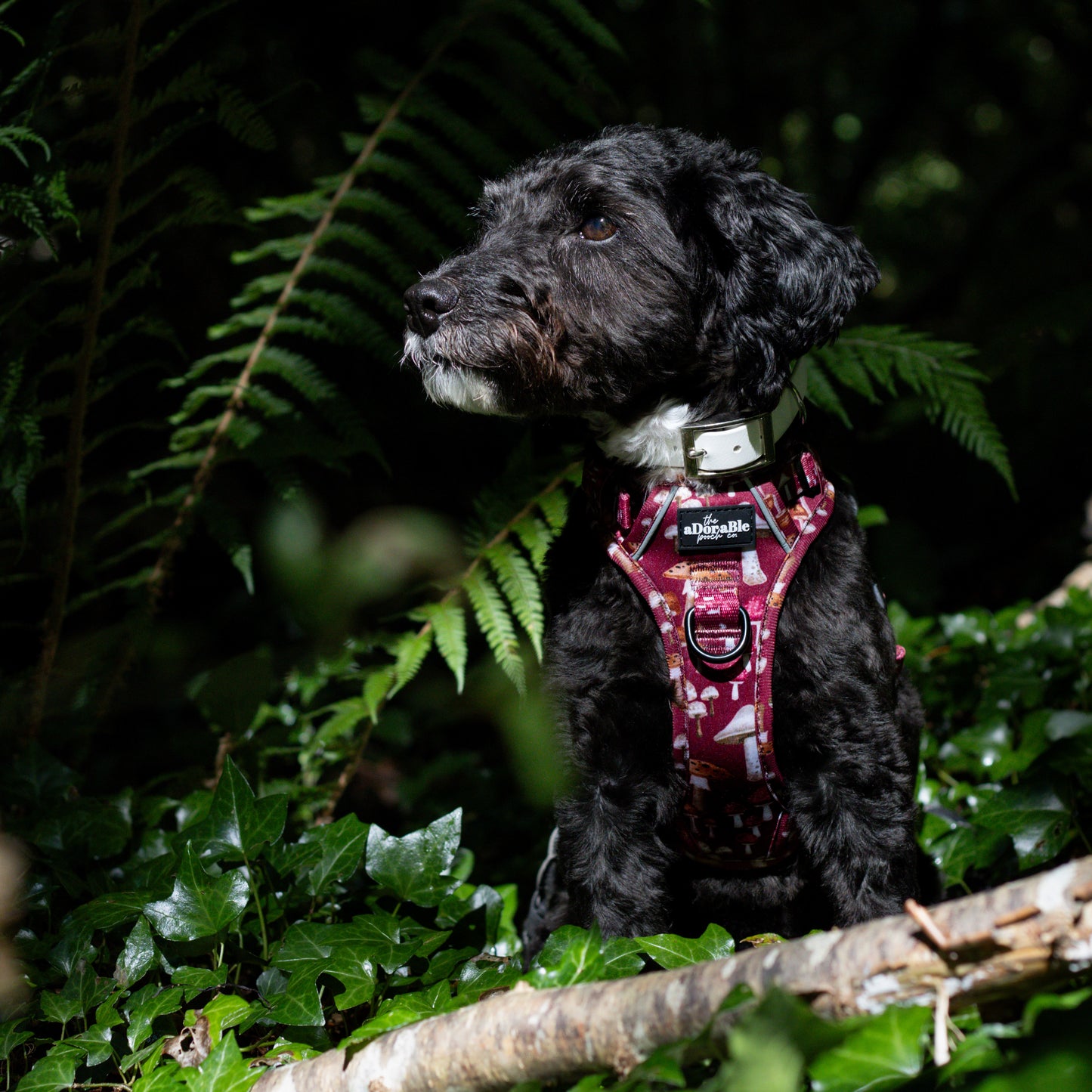 Hike & Go Lite™ Harness - Mulberry Mushrooms