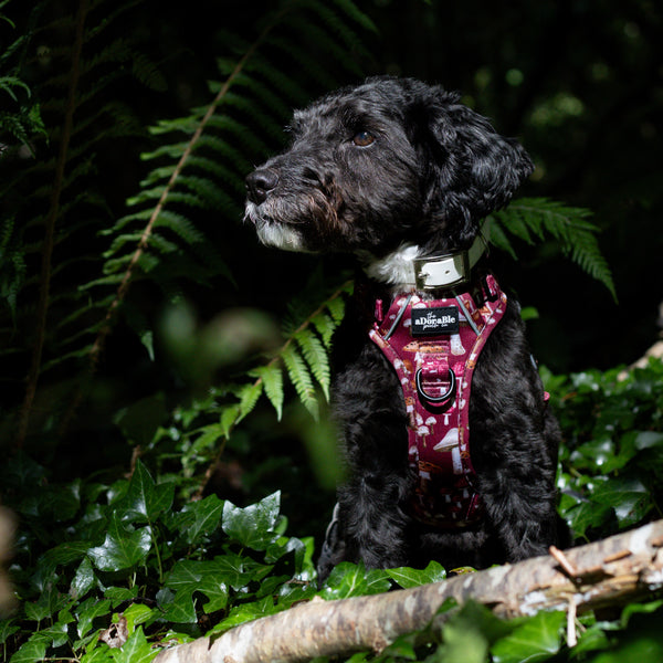 Hike & Go Lite™ Harness - Mulberry Mushrooms