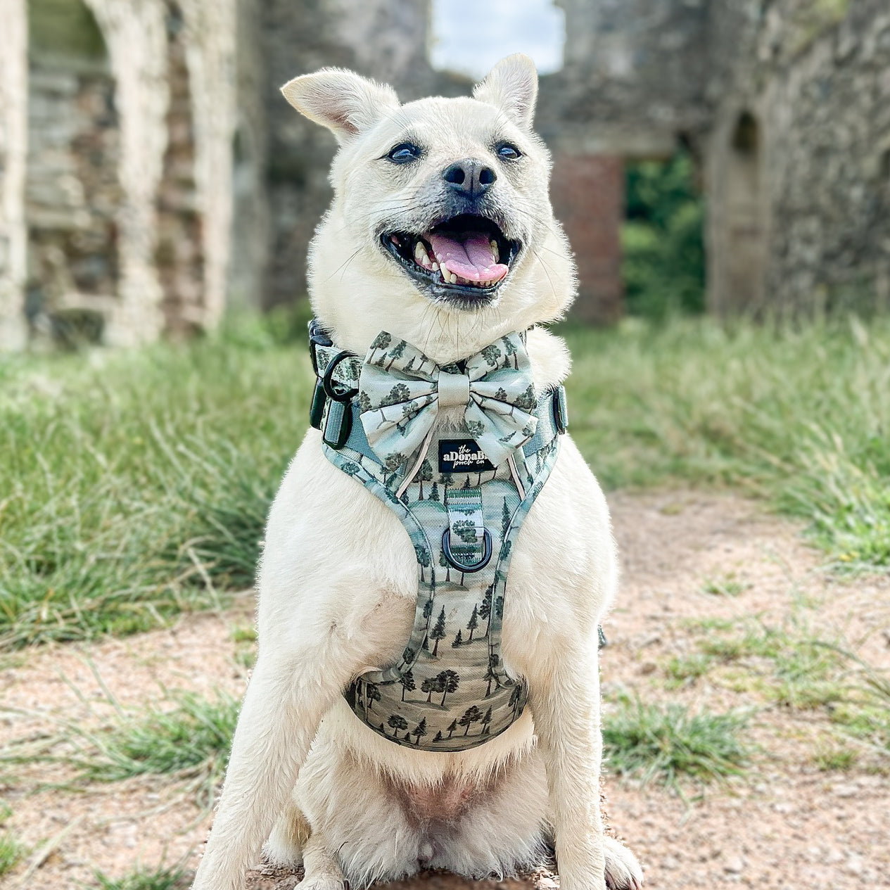 Hike & Go™ Harness - Countryside Hills