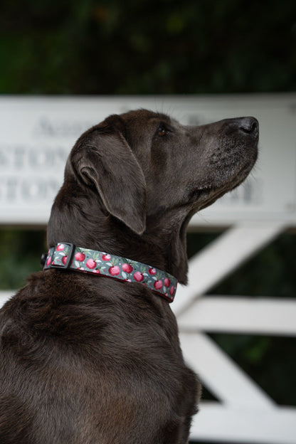 Collar - Crab Apple Cottage