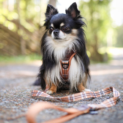 Streamline Pro™ Dog Harness - Heritage Collection - Butterscotch Biscuit