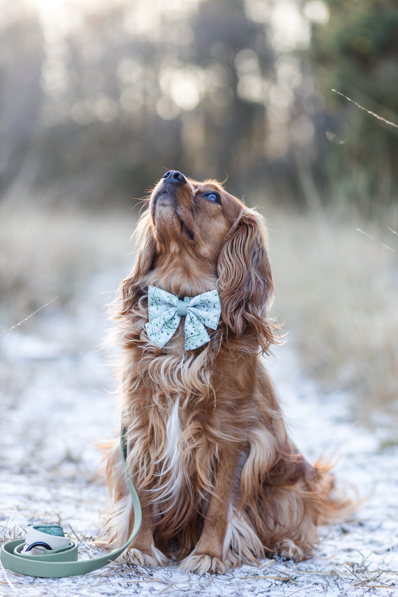 Dog Sailor Bow Tie - Silent Snowdrops