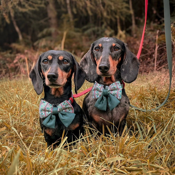 Sailor Bow Tie - Garlands Of Evergreen