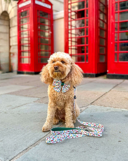 Lead - Festive Lights