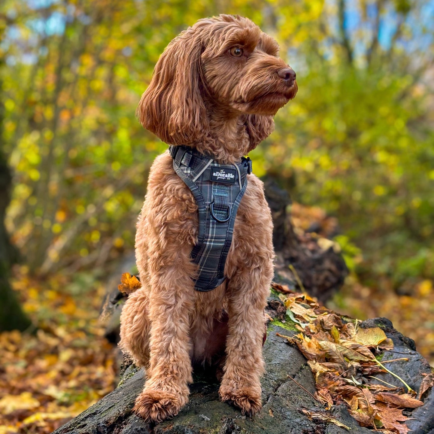 Hike & Go™ Harness - LUXE Hunter Green Plaid