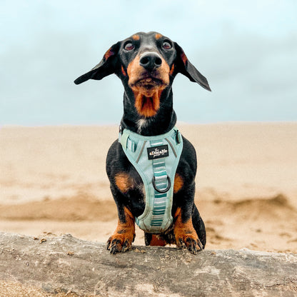 Hike & Go™ Harness - Hint Of Mint