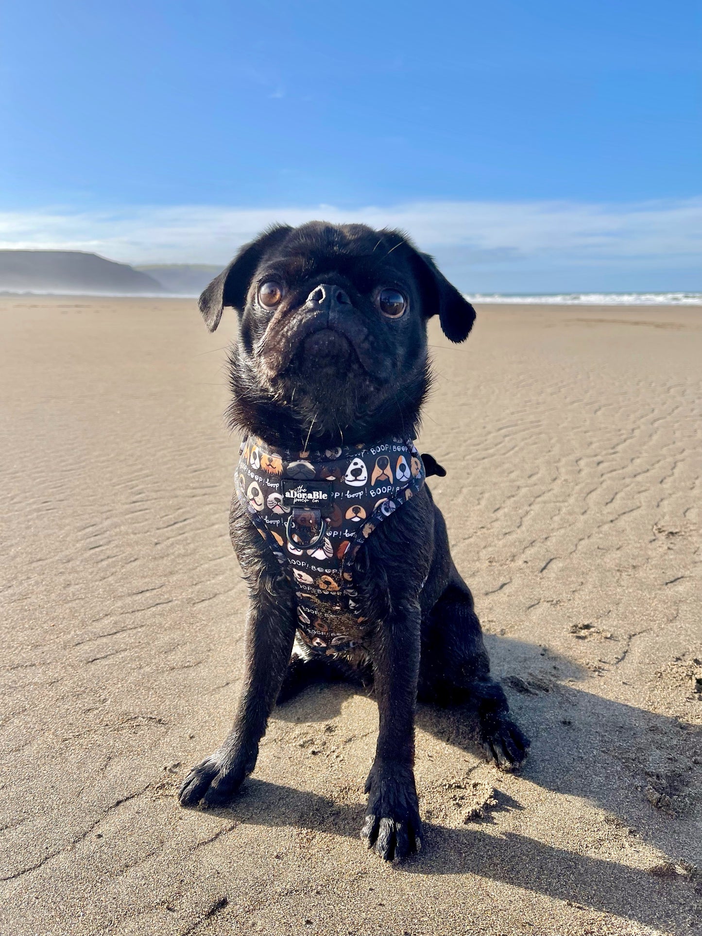 Adjustable Harness - The aDoraBle Pooch Co x Boop My Nose - Boop! - Black