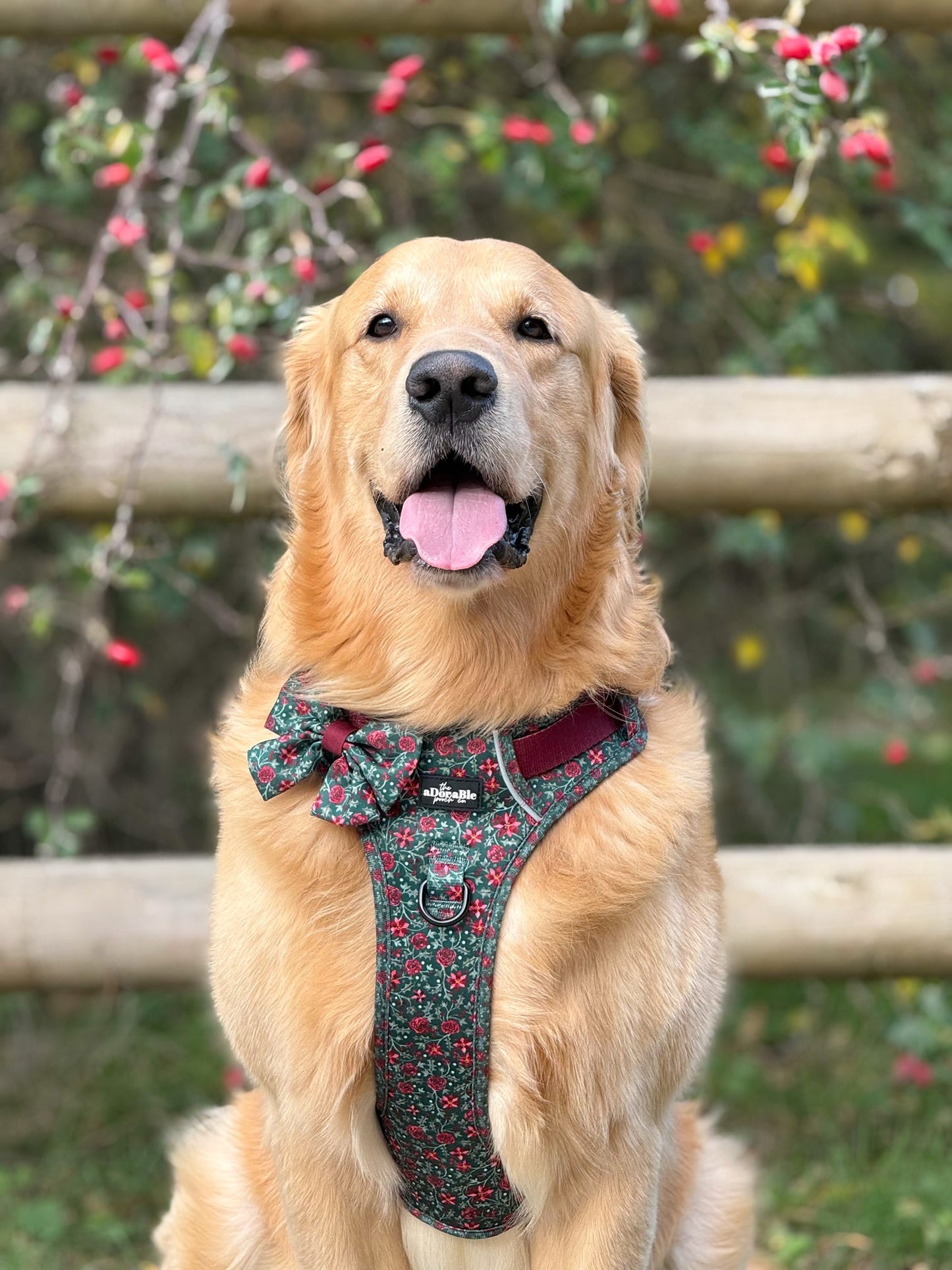 Hike & Go Lite™ Harness - Holly & Ivy