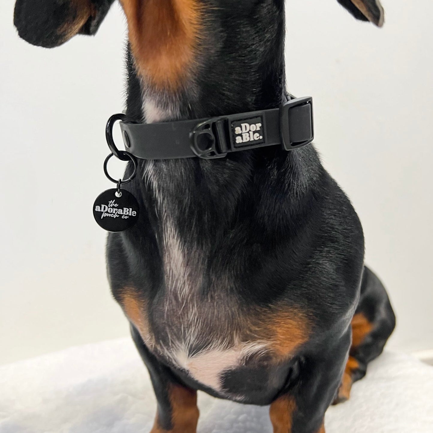 HydroFlex Lite™ Collar - Black