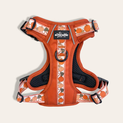 Hike & Go™ Harness - Pumpkin Fields