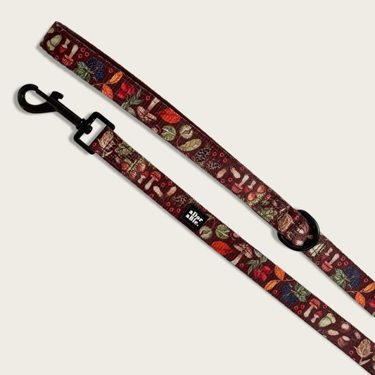 Lead - Foragers Forest