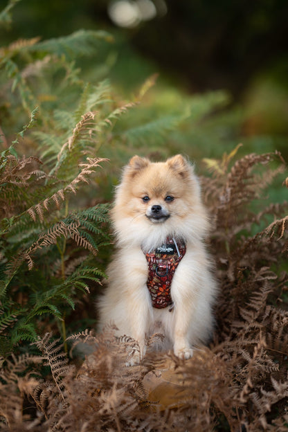 Hike & Go™ Harness - Foragers Forest