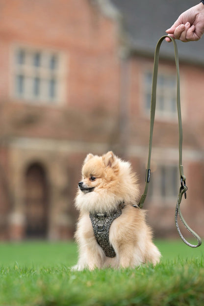 Laura Ashley Waterproof Dog Lead - Sweet Alyssum