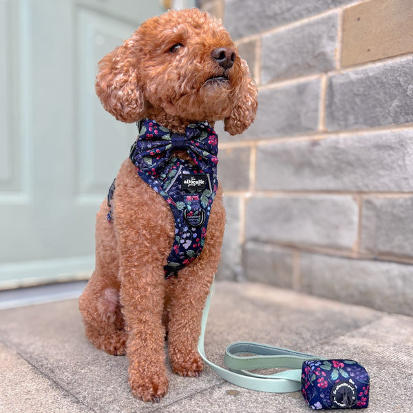 Sailor Bow Tie - Bramble Berry